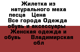 Жилетка из натурального меха песца › Цена ­ 18 000 - Все города Одежда, обувь и аксессуары » Женская одежда и обувь   . Владимирская обл.